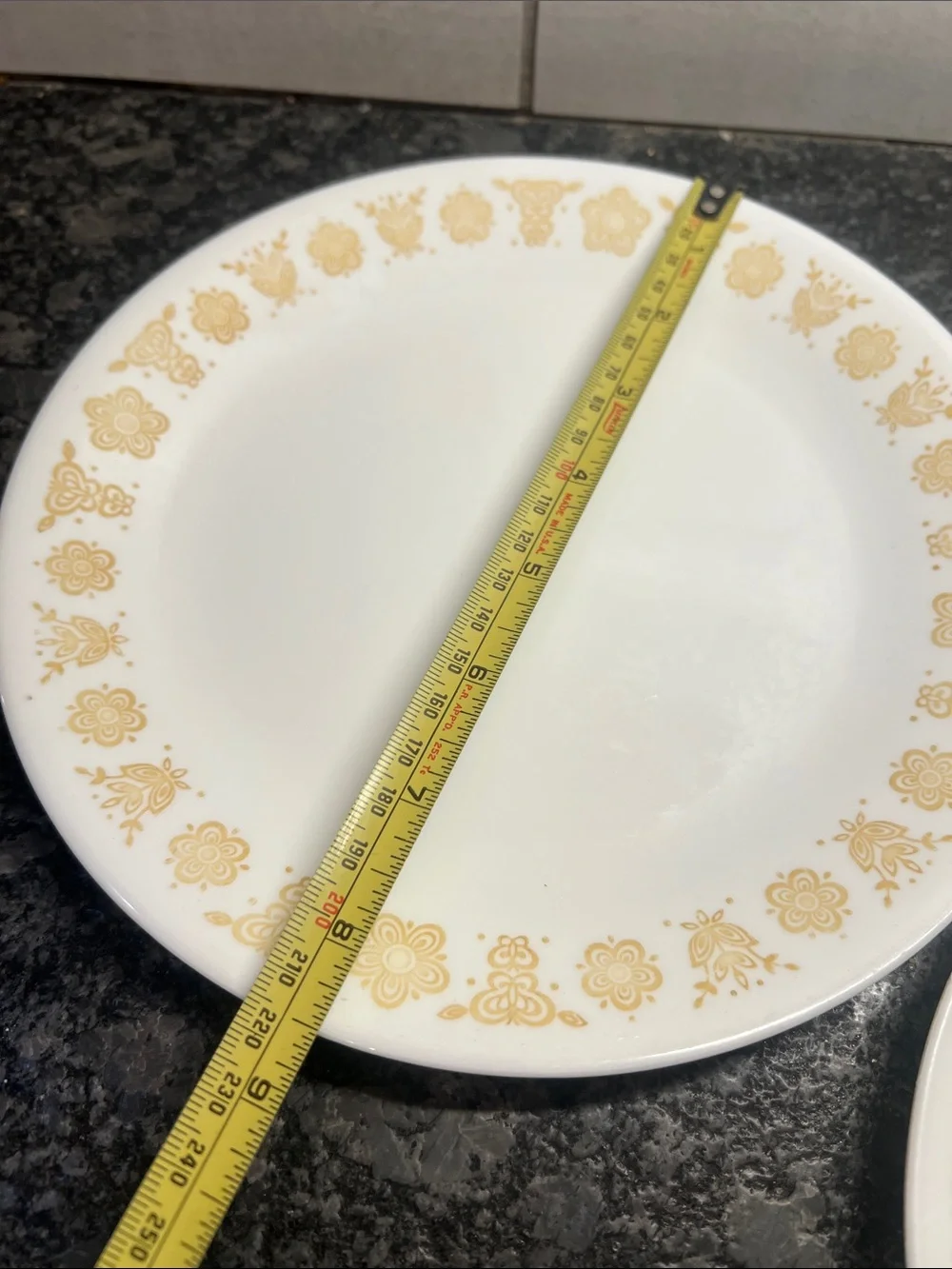 Corelle dinner plates